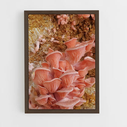 ap-oyster mushroom-1 cadre Bois foncé