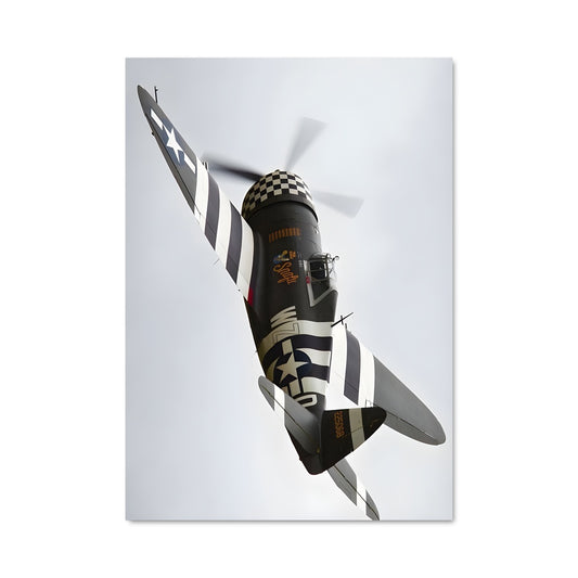 Poster Thunderbolt en Vol