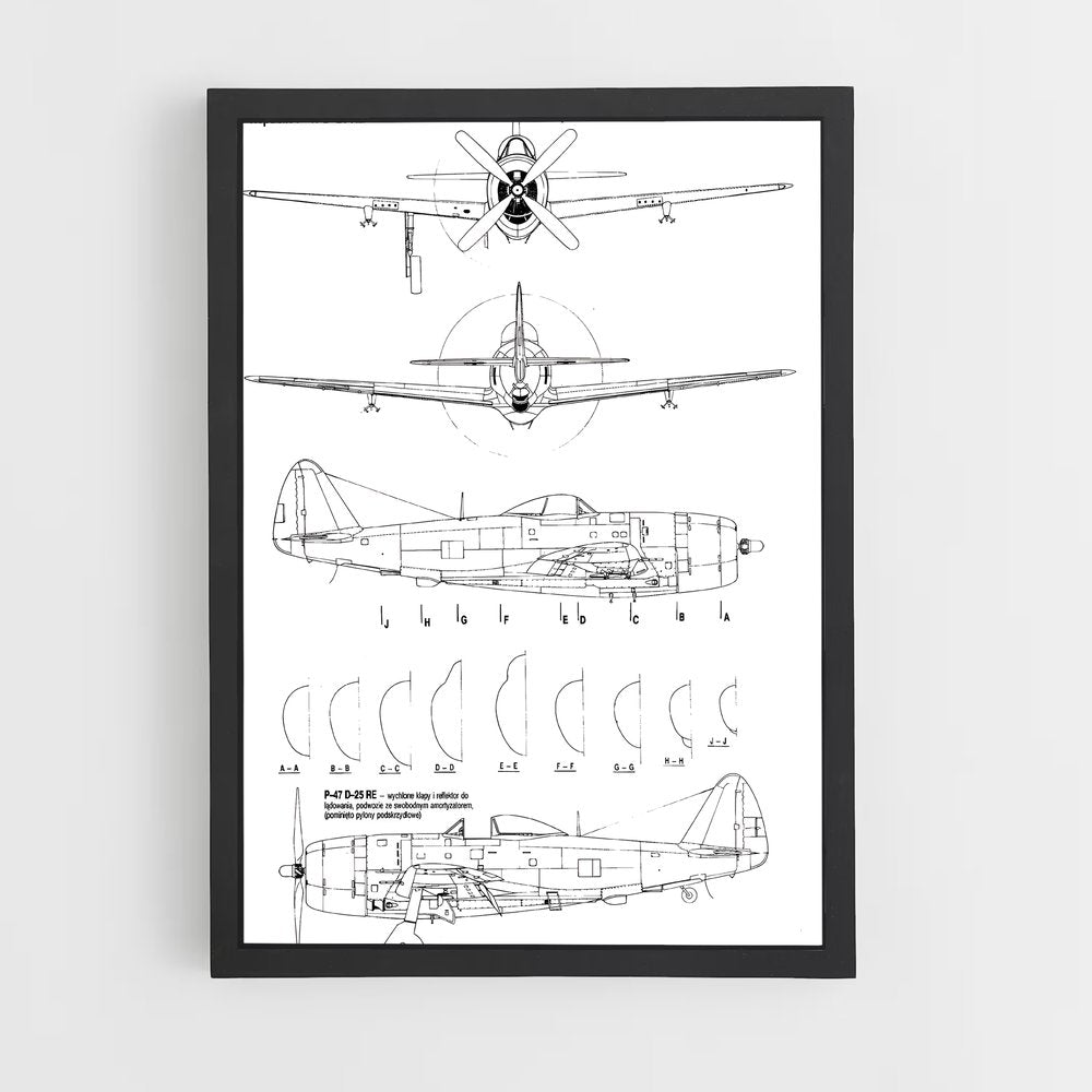 ap-p-47 thunderbolt-5 cadre Noir