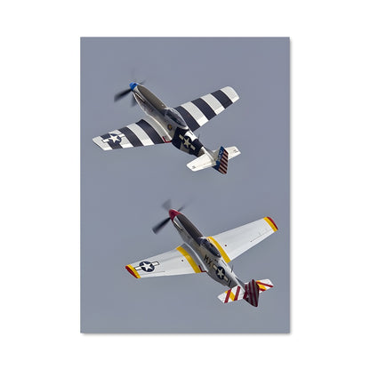 Poster Duo Céleste