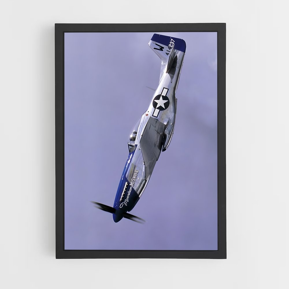 ap-p-51 mustang-1 cadre Noir
