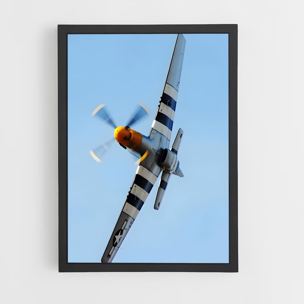 ap-p-51 mustang-3 cadre Noir