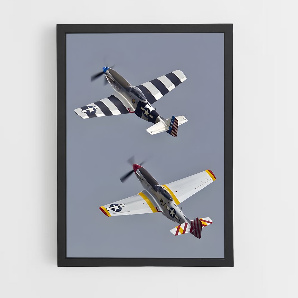 ap-p-51 mustang-4 cadre Noir