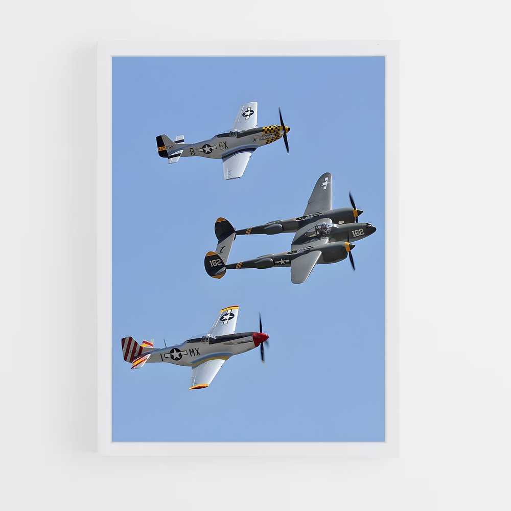 ap-p-51 mustang-5 cadre Blanc