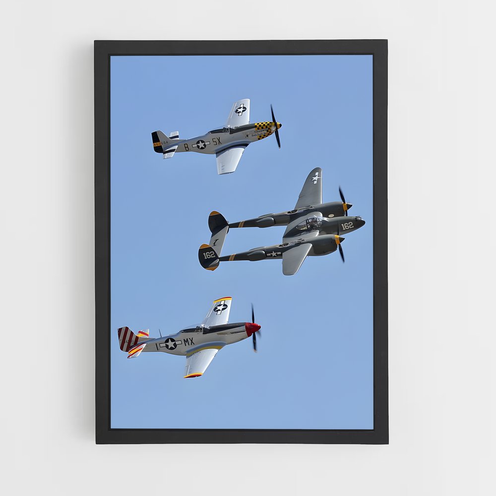 ap-p-51 mustang-5 cadre Noir
