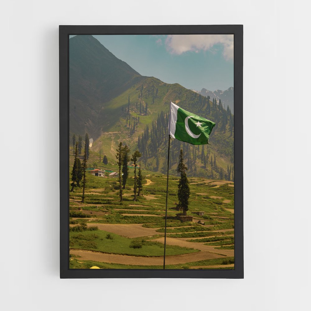 ap-pakistan flag-6 cadre Noir