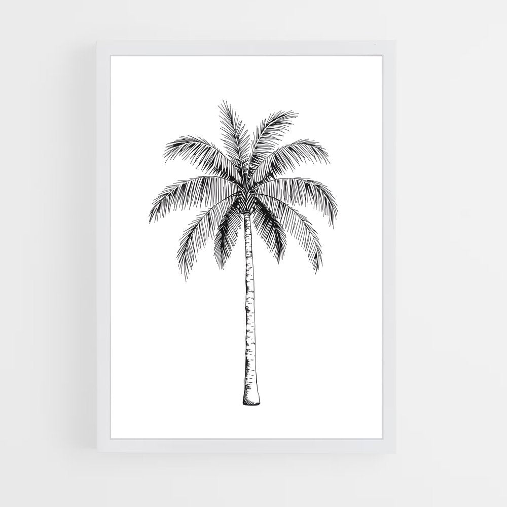 ap-palm-7 cadre Blanc
