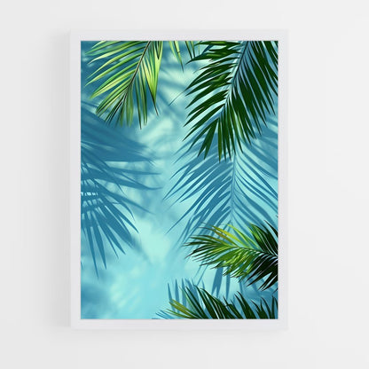 ap-palm-8 cadre Blanc