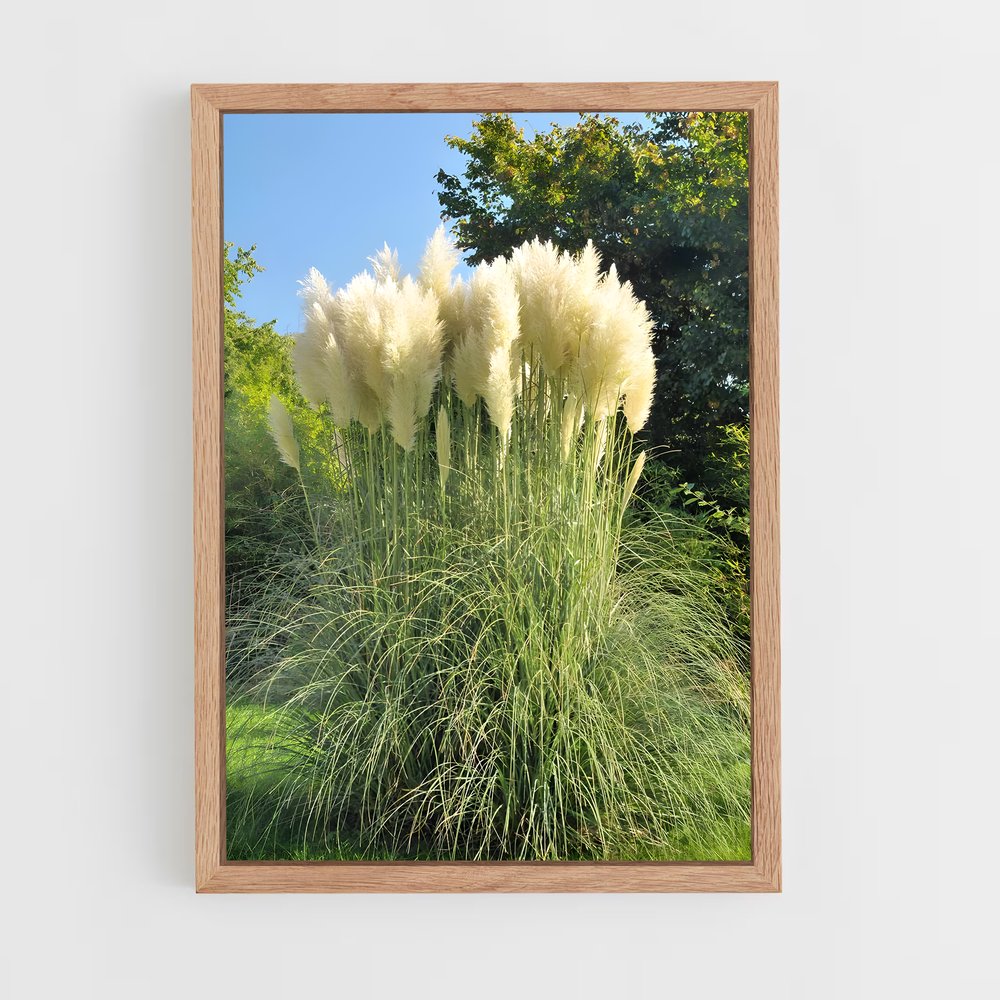 ap-pampas grass-1 cadre Bois clair