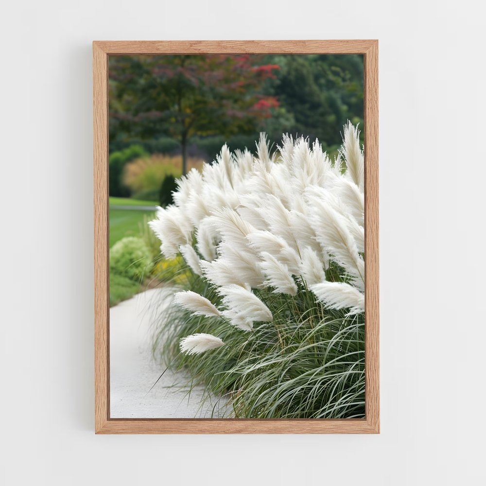 ap-pampas grass-2 cadre Bois clair