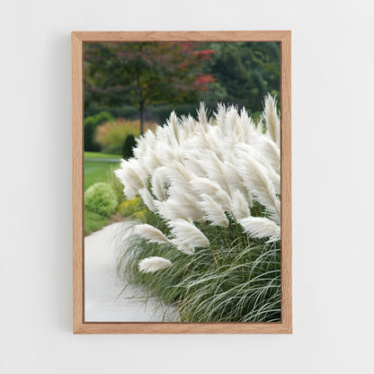 ap-pampas grass-2 cadre Bois clair