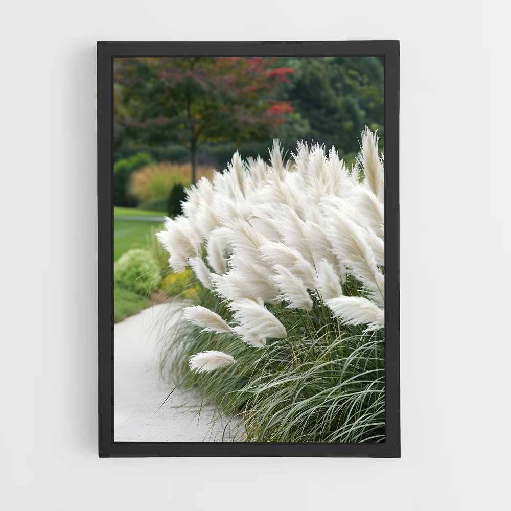 ap-pampas grass-2 cadre Noir