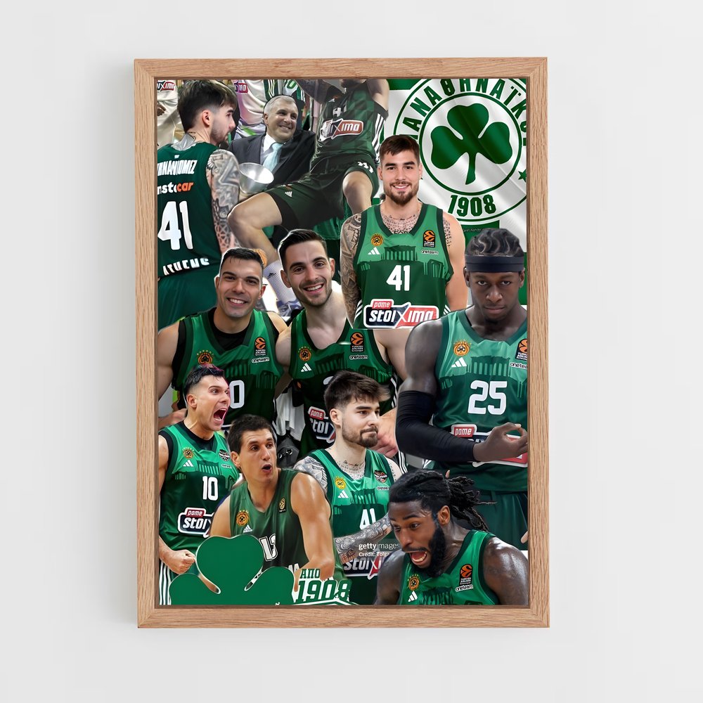 ap-panathinaikos basketball-7 cadre Bois clair