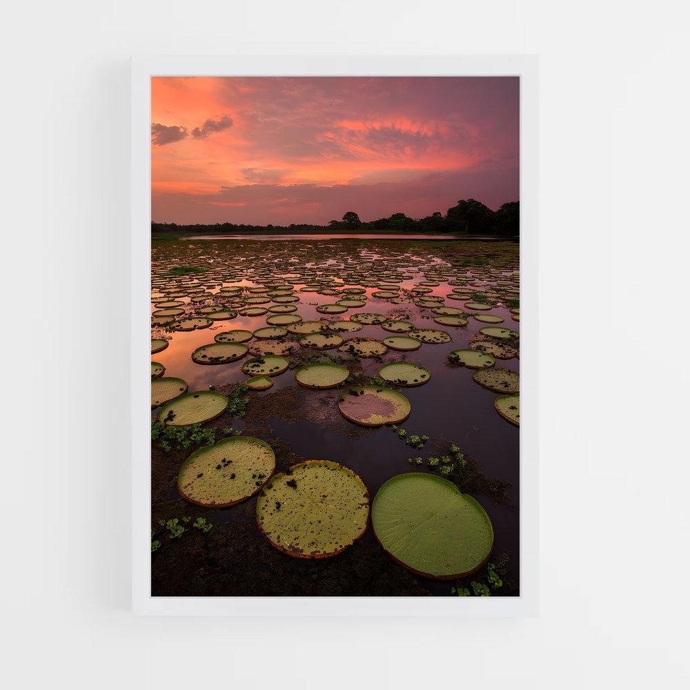 ap-pantanal-2 cadre Blanc