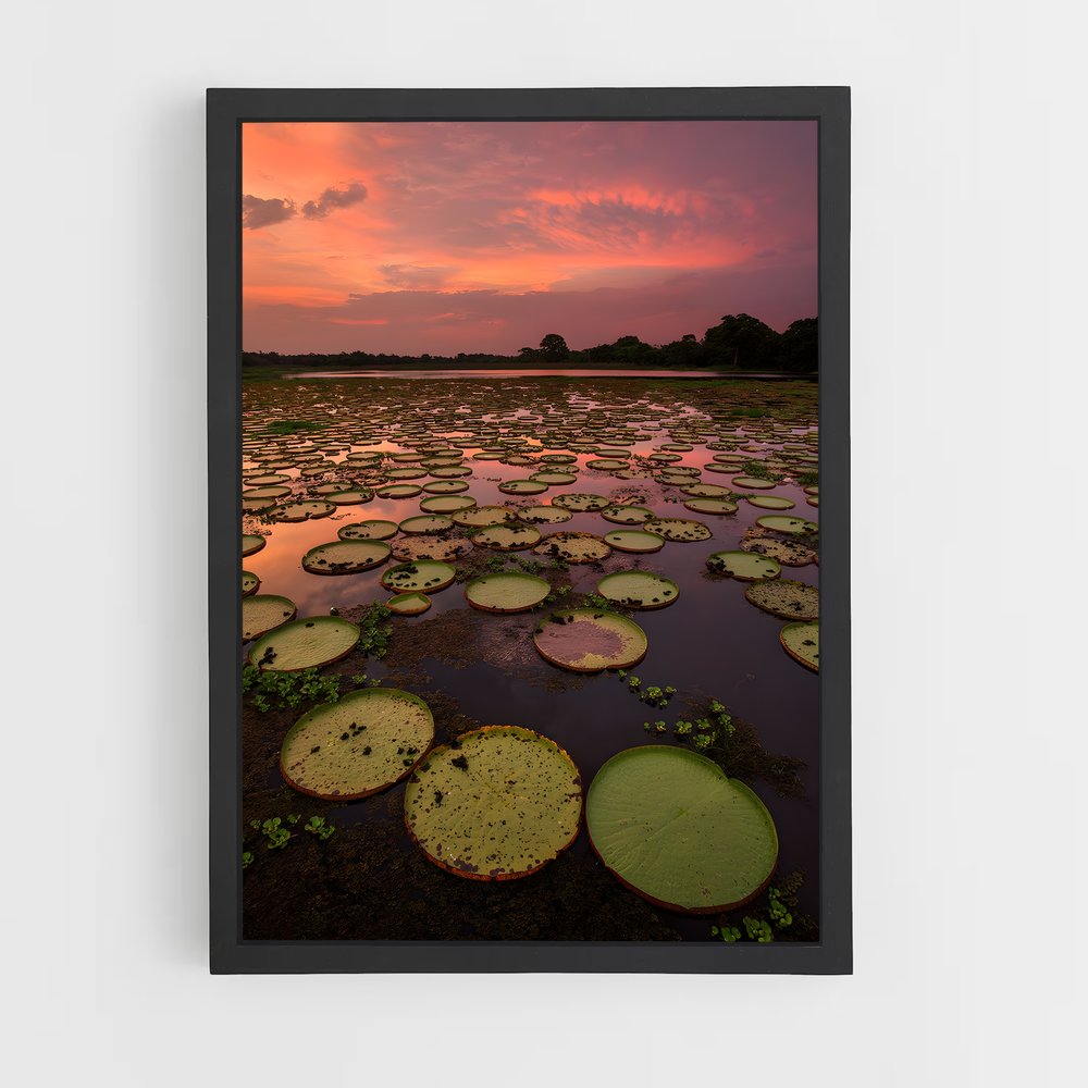 ap-pantanal-2 cadre Noir