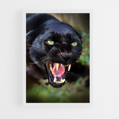 ap-panther-1 cadre Blanc