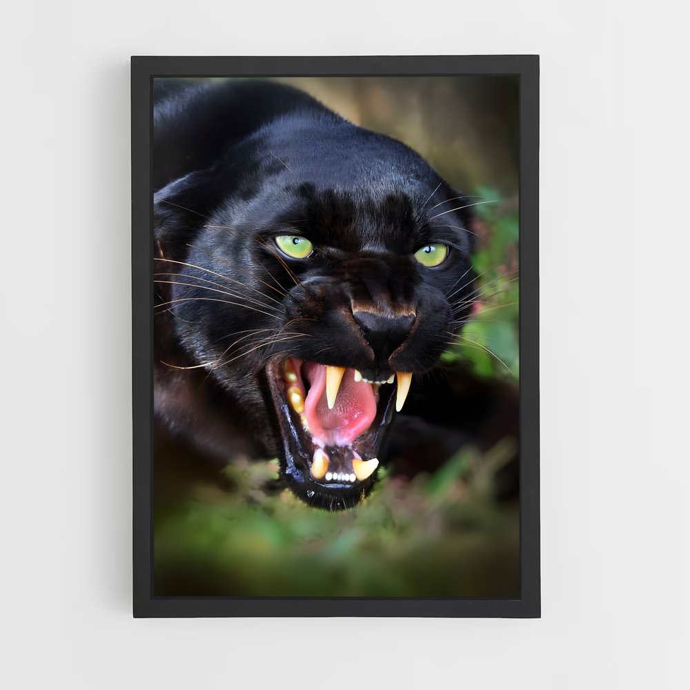 ap-panther-1 cadre Noir