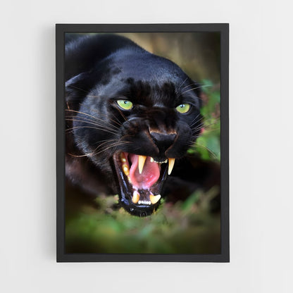 ap-panther-1 cadre Noir