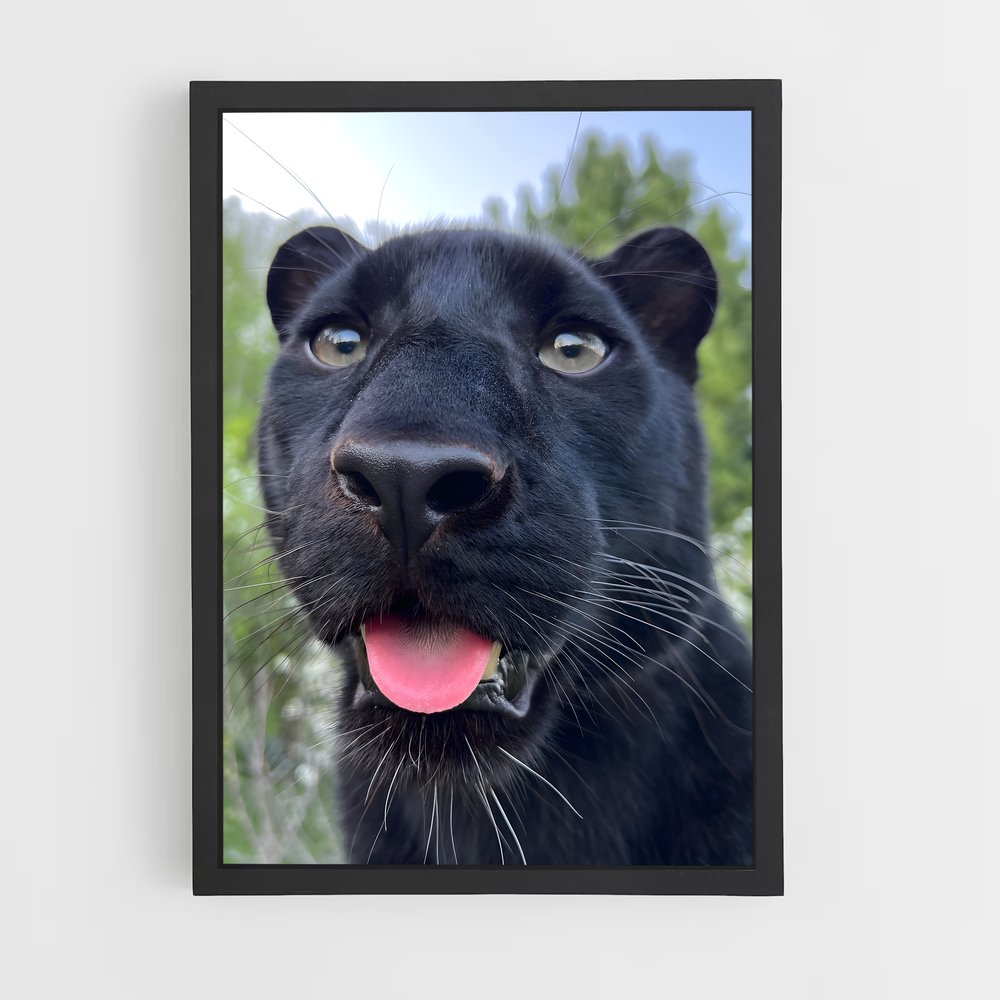 ap-panther-2 cadre Noir