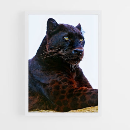 ap-panther-4 cadre Blanc