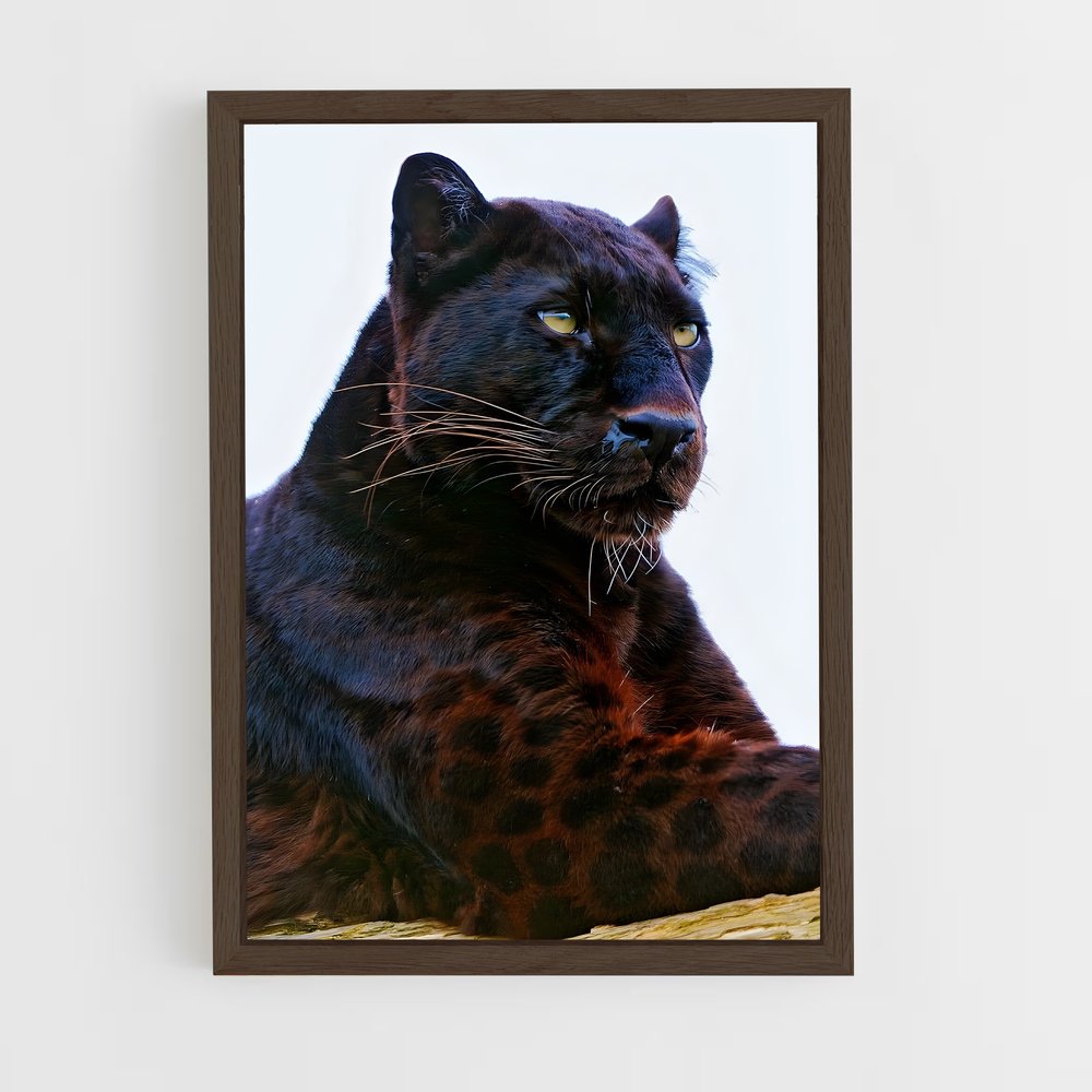 ap-panther-4 cadre Bois foncé