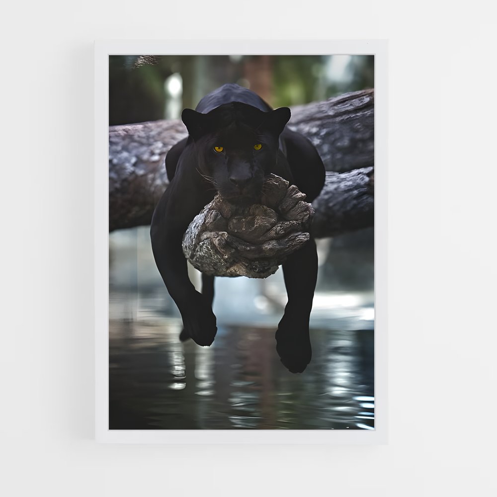 ap-panther-5 cadre Blanc