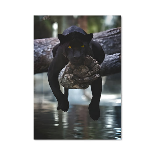 Poster Panther en Suspension