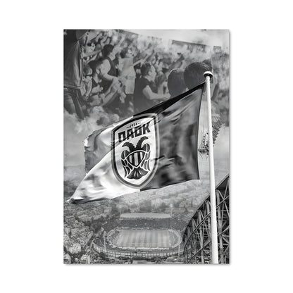 Poster Stade des Titans