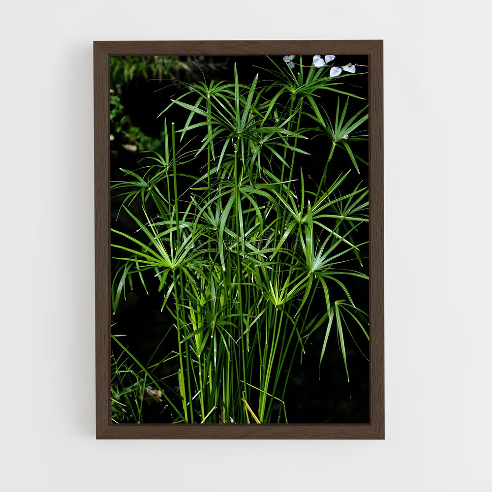 ap-papyrus-1 cadre Bois foncé
