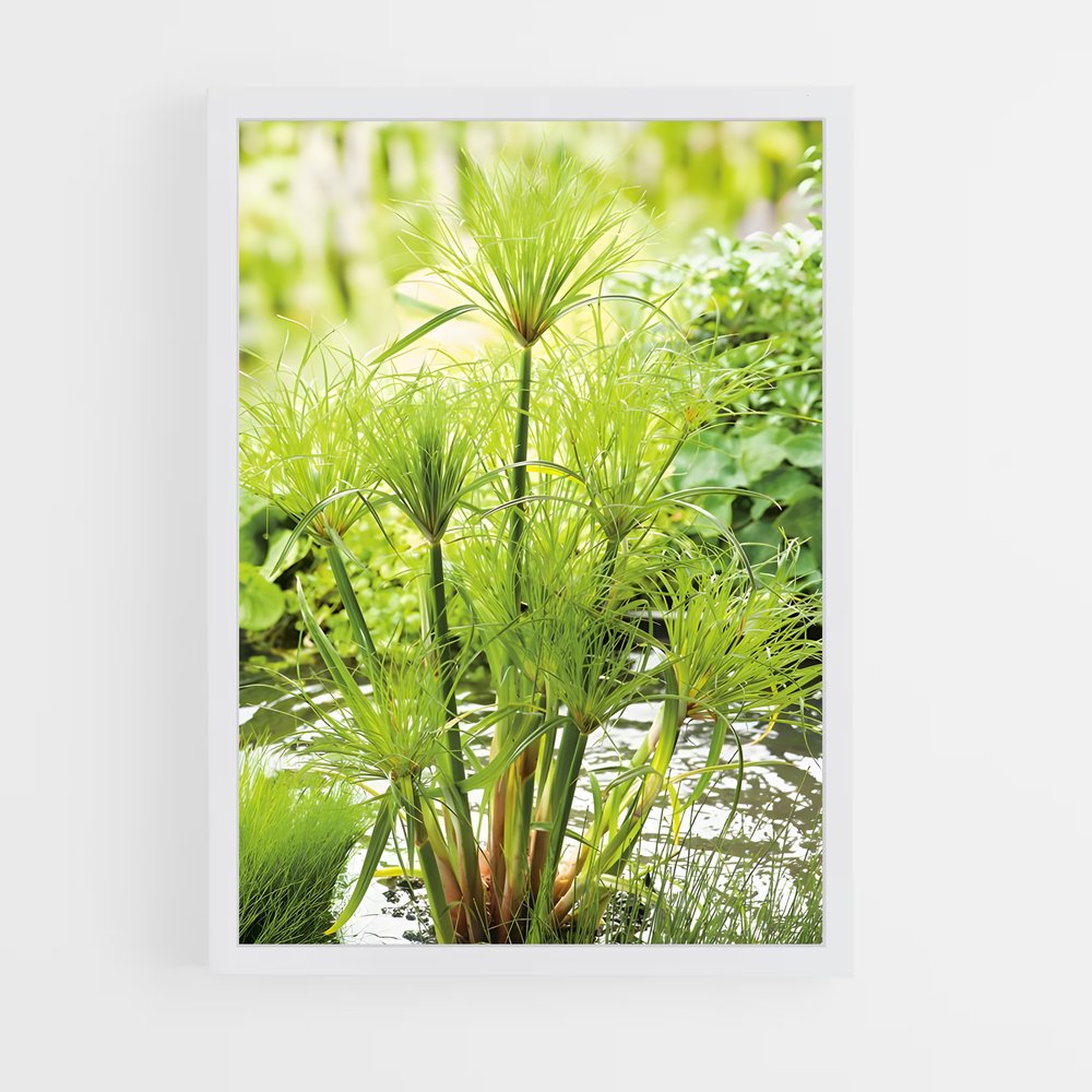 ap-papyrus-2 cadre Blanc