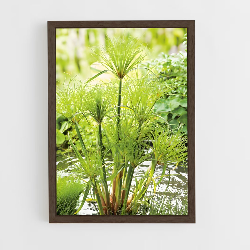 ap-papyrus-2 cadre Bois foncé