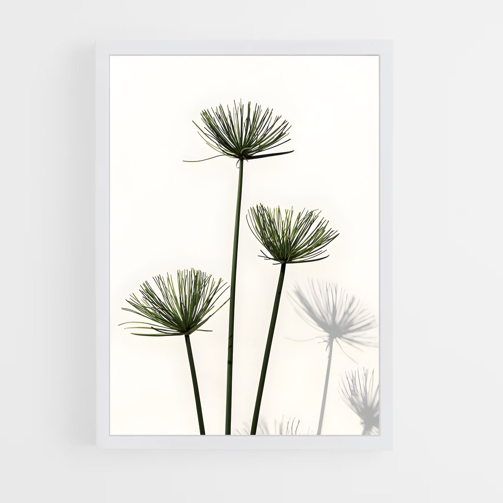 ap-papyrus-3 cadre Blanc