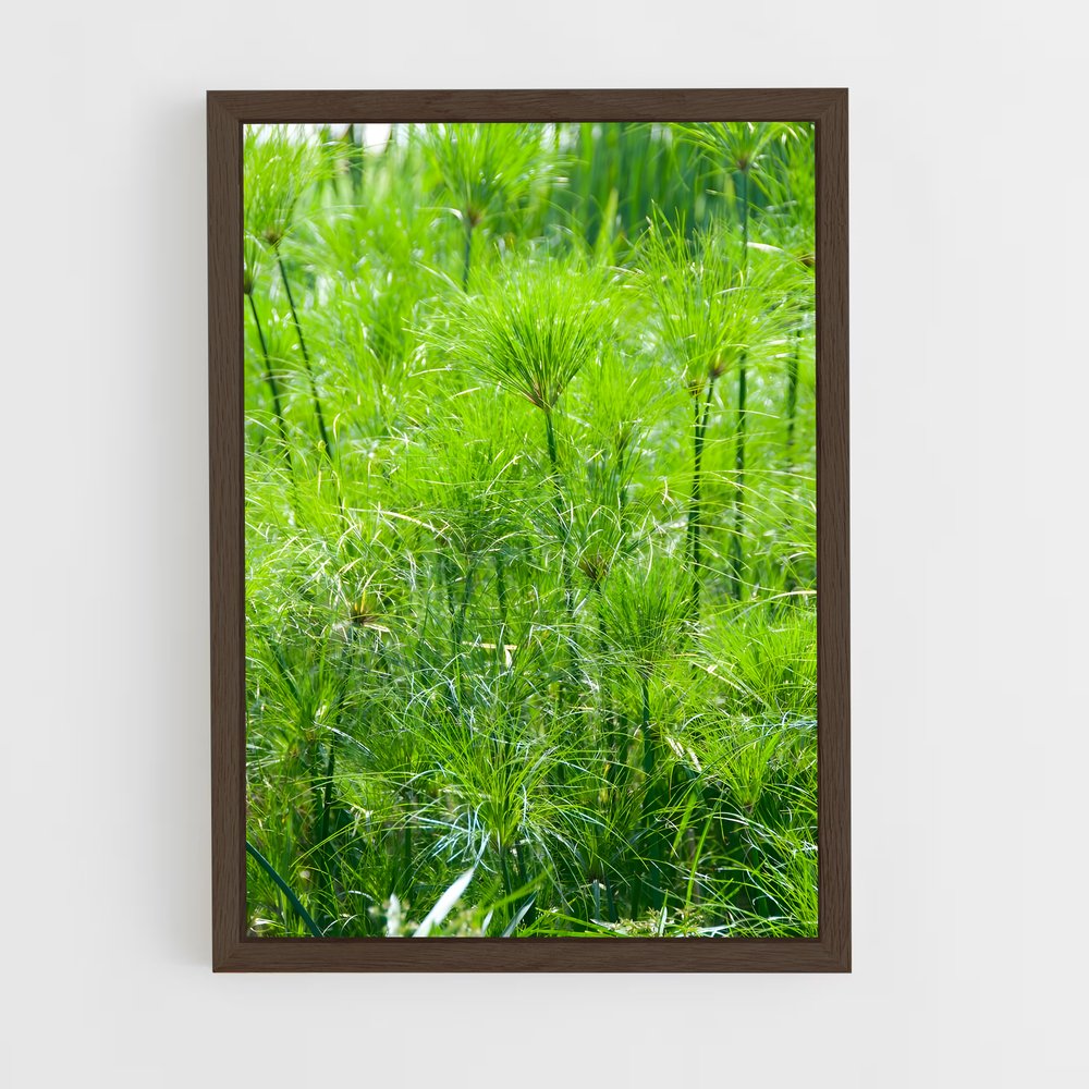 ap-papyrus-4 cadre Bois foncé