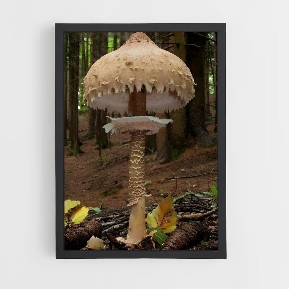 ap-parasol mushroom-1 cadre Noir