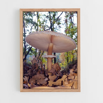 ap-parasol mushroom-4 cadre Bois clair