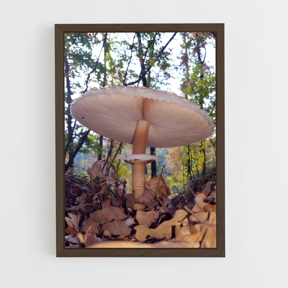 ap-parasol mushroom-4 cadre Bois foncé