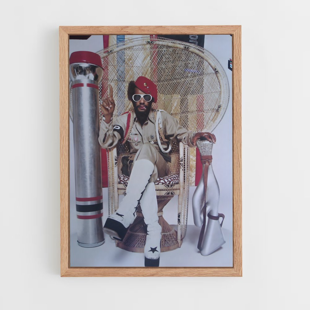 ap-parliament funkadelic-2 cadre Bois clair