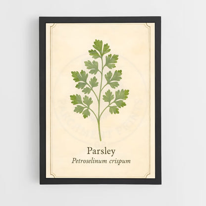 ap-parsley-2 cadre Noir