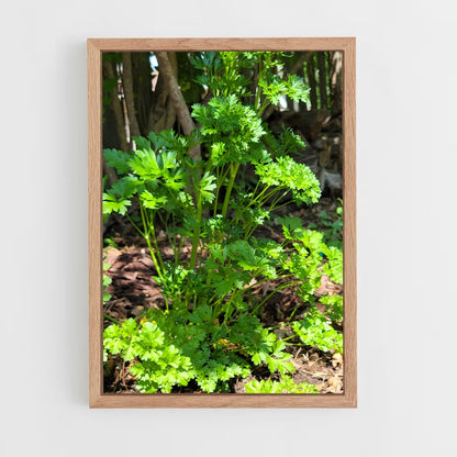 ap-parsley-3 cadre Bois clair