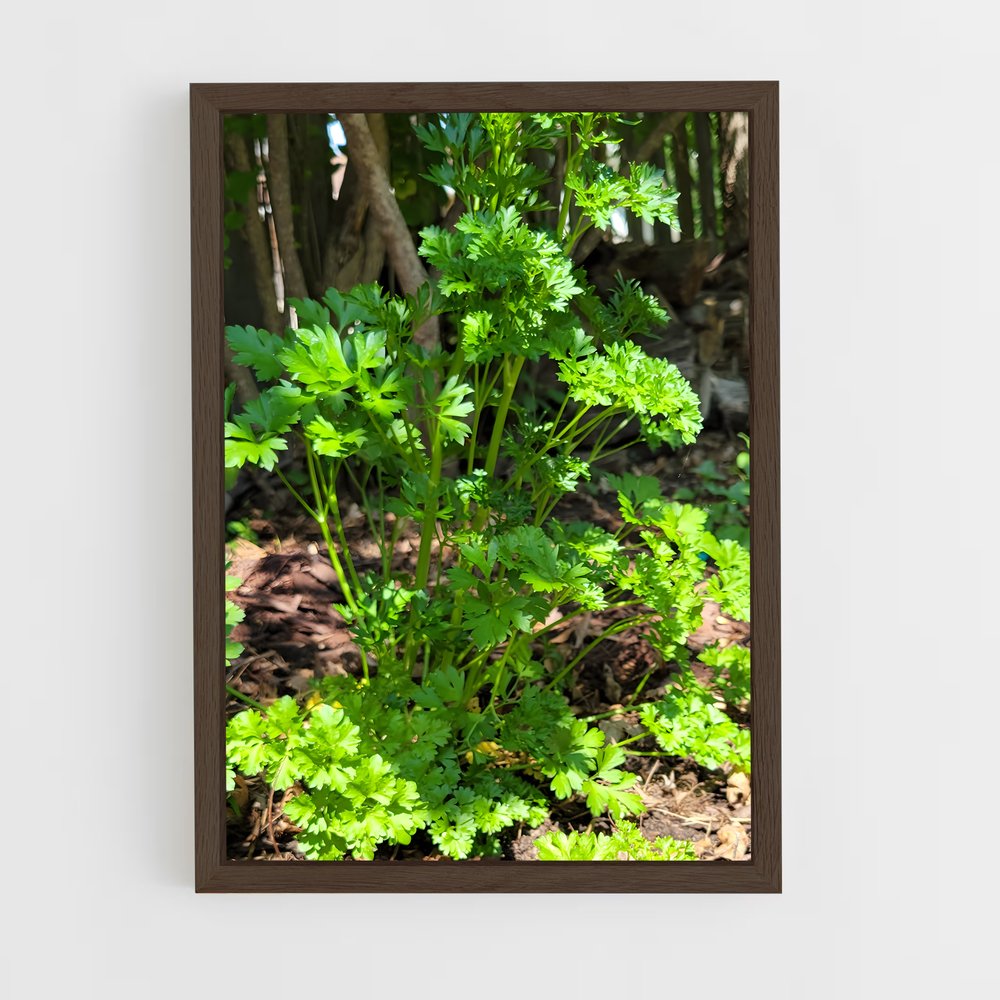 ap-parsley-3 cadre Bois foncé