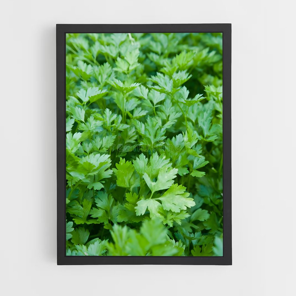 ap-parsley-4 cadre Noir