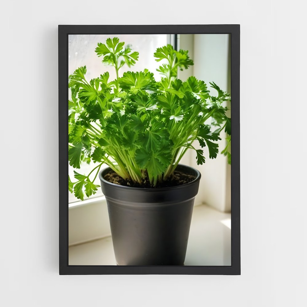 ap-parsley-5 cadre Noir