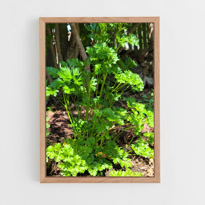 ap-parsley-6 cadre Bois clair