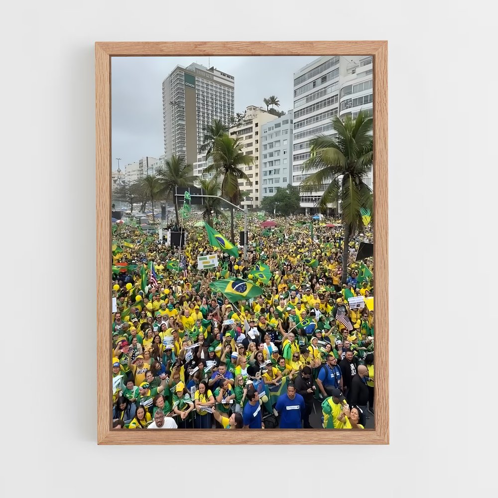 ap-partido liberal brazil-1 cadre Bois clair
