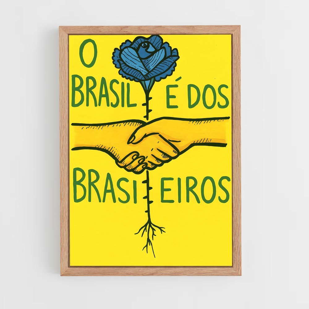 ap-partido liberal brazil-3 cadre Bois clair