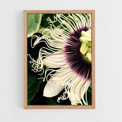 ap-passion flower-5 cadre Bois clair