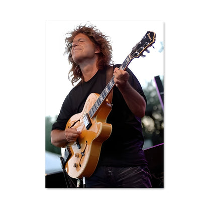 Poster Pat metheny 46820