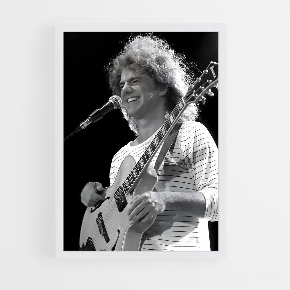 ap-pat metheny-1 cadre Blanc