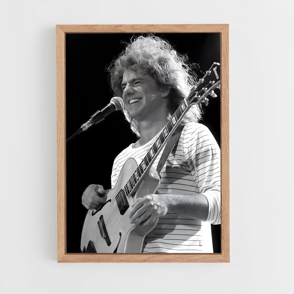 ap-pat metheny-1 cadre Bois clair