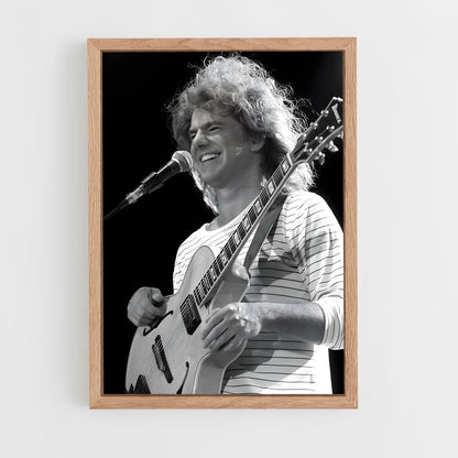 ap-pat metheny-1 cadre Bois clair